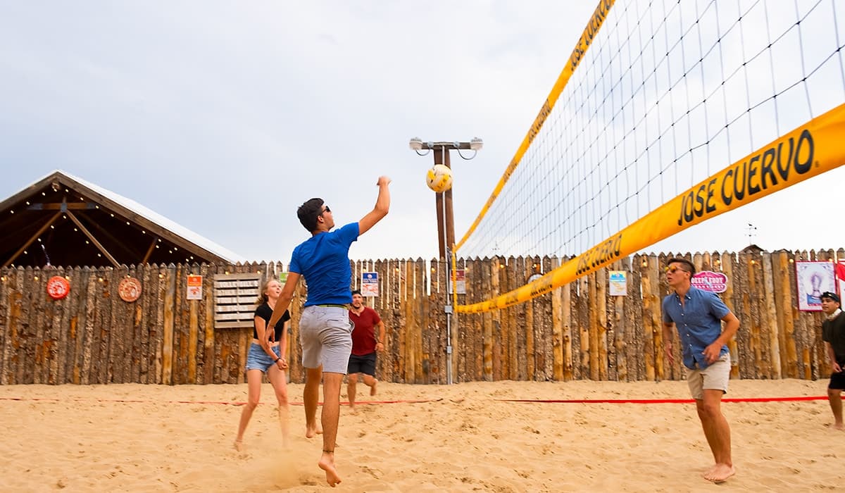 Moonlight Pizza & Brewpub